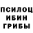 Галлюциногенные грибы прущие грибы IULIANA TV