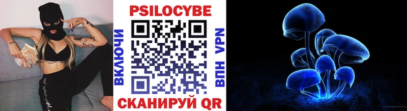 Галлюциногенные грибы Psilocybine cubensis  Лянтор 